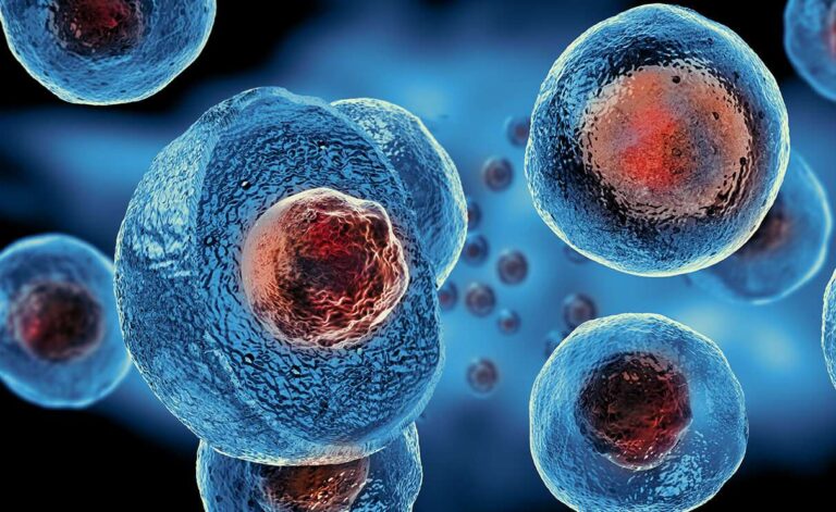 Unveiling the Marvels of Orthobiologics Decoding the Science Behind Healing and Regeneration